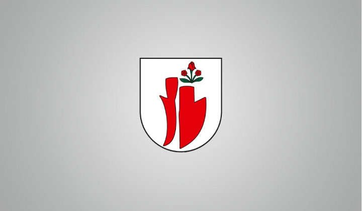 Jovice